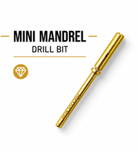 Mini Mandrel Drill Bit
